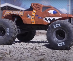 1:10 ECX Brutus RC Monster Truck review